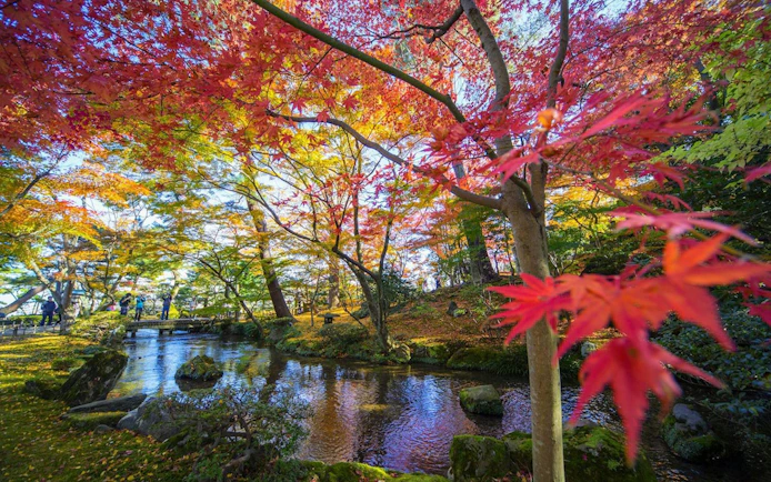 Autumn foliage and stream in Shirakawa-go during a day tour from Kanazawa.