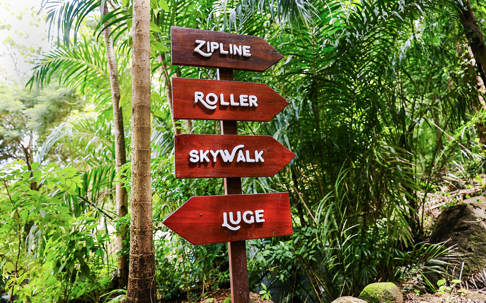 Signage for zipline, roller, skywalk, and luge at Hanuman World in a lush forest setting.