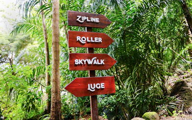 Signage for zipline, roller, skywalk, and luge at Hanuman World in a lush forest setting.