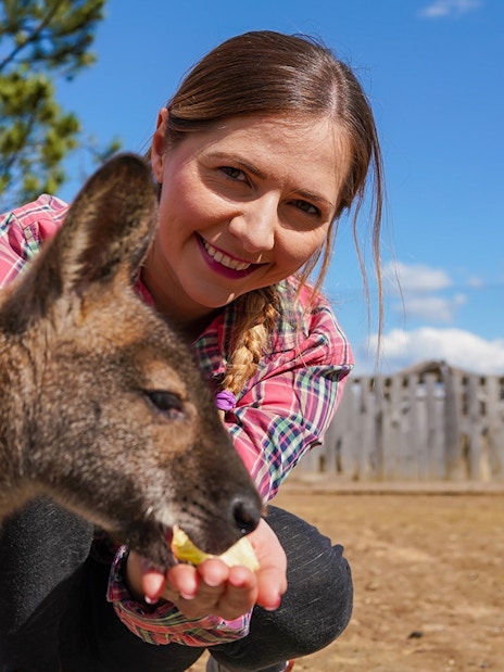 Young woman feeding a kangaroo fruit from her hand in an outdoor setting.