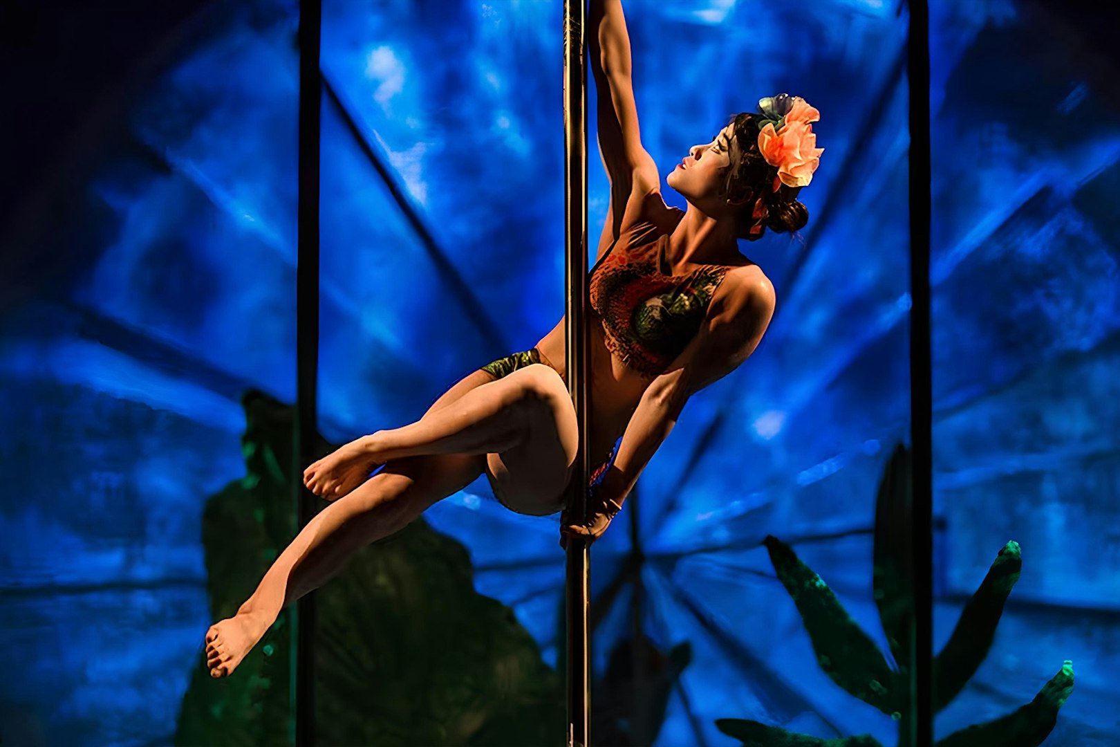 Performer on pole with floral headpiece in Luzia show.