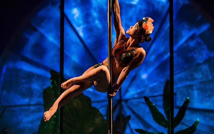 Performer on pole with floral headpiece in Luzia show.