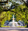 Parc Forsyth