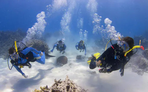 Divers exploring coral reefs during a PADI course at the Great Barrier Reef.