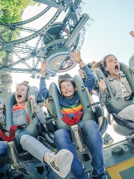 Guests enjoying a roller coaster ride at Efteling Theme Park.