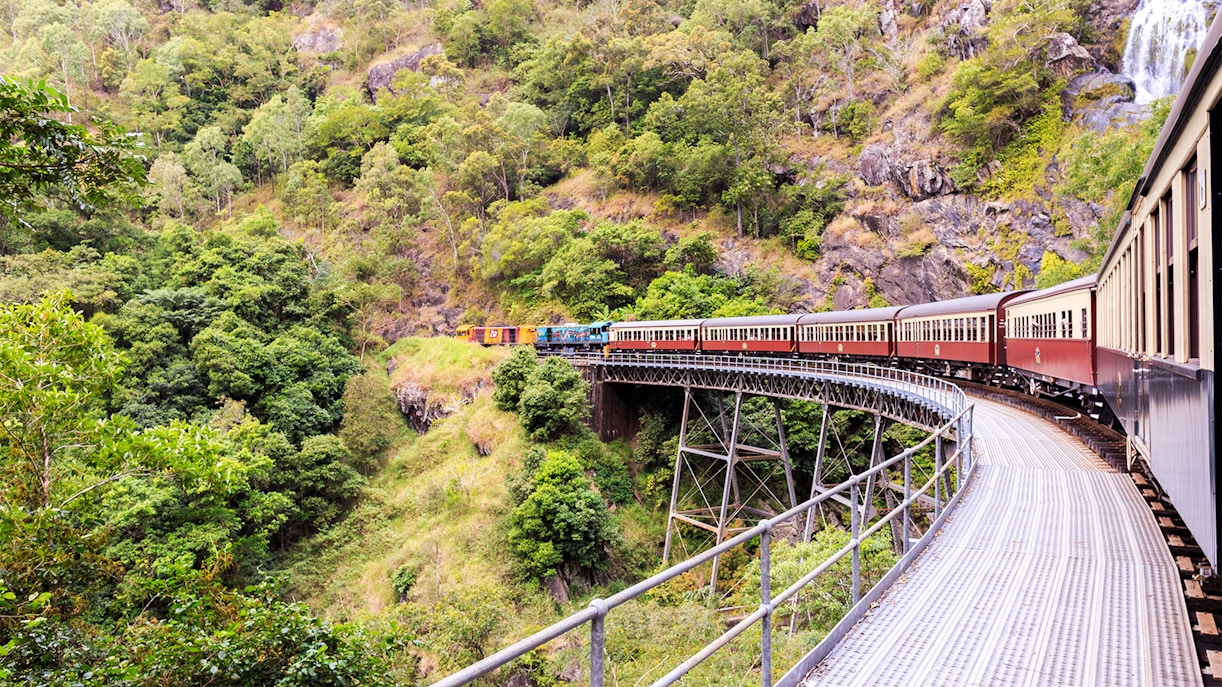 Kuranda Rainforest