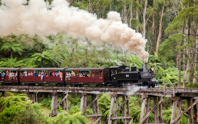 Puffing Billy steam train with passengers on a wooden trestle bridge in lush forest.