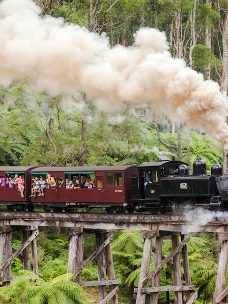 Puffing Billy steam train with passengers on a wooden trestle bridge in lush forest.
