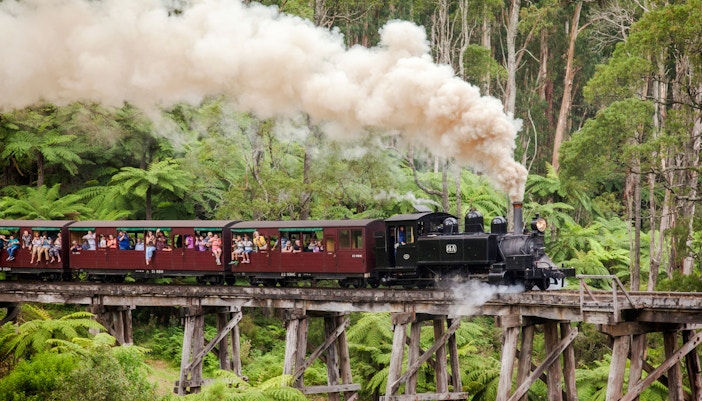 Puffing Billy steam train with passengers on a wooden trestle bridge in lush forest.