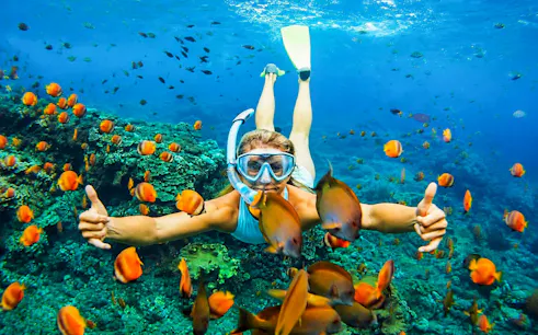 Snorkeler exploring coral reef with colorful fish in Blue Lagoon, Tanjung Jepun.