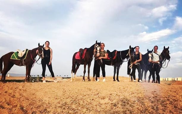 aventure équestre premium d'une heure dans le désert avec elite - hurghada-4