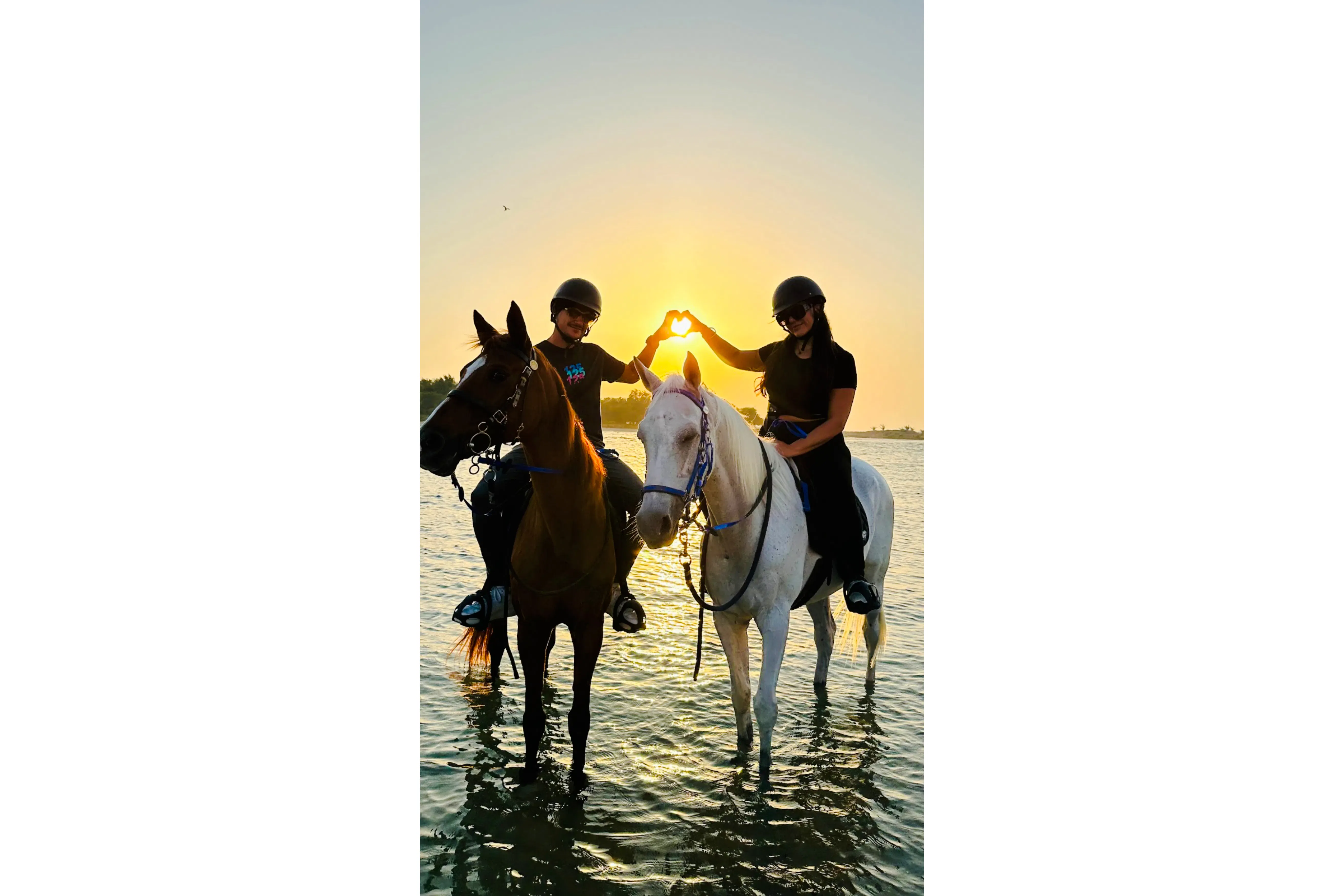 turer på stranden i dubai med privat piknik for to-6