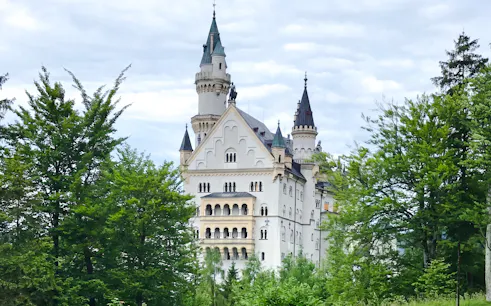 Neuschwanstein Castle surrounded by lush green trees in Bavaria, Germany.