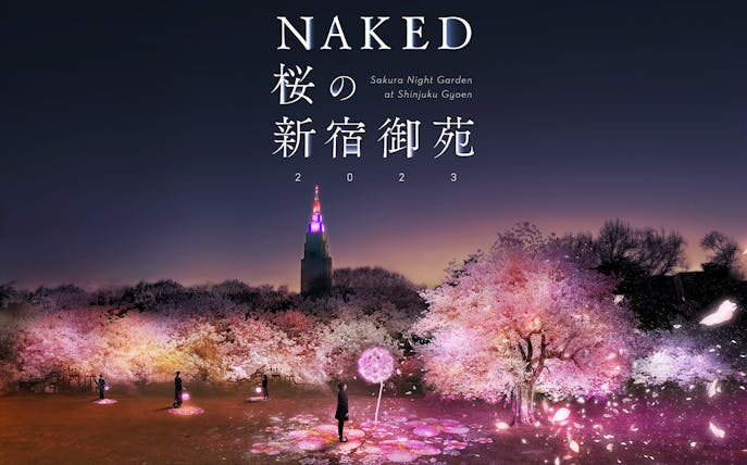 Shinjuku Gyoen illuminated cherry blossoms at NAKED Sakura Night Garden 2023.