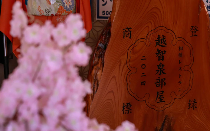 Sumo practice venue sign at Ochiizumibeya with cherry blossoms in foreground.