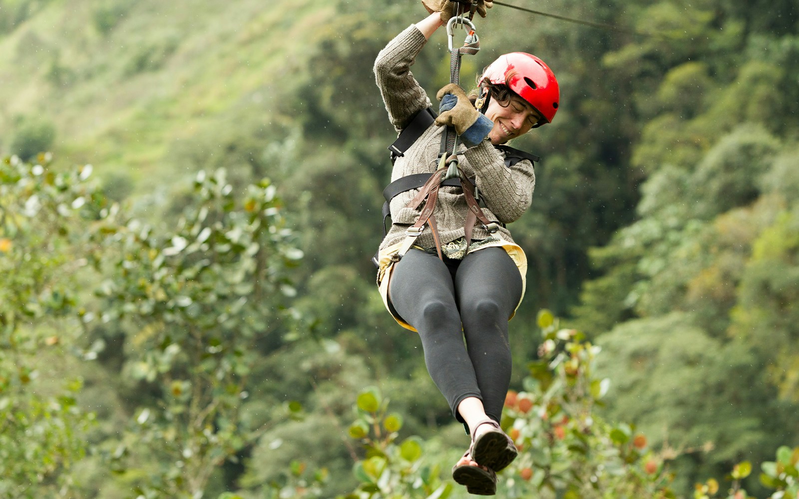 Person ziplining through lush forest canopy.
