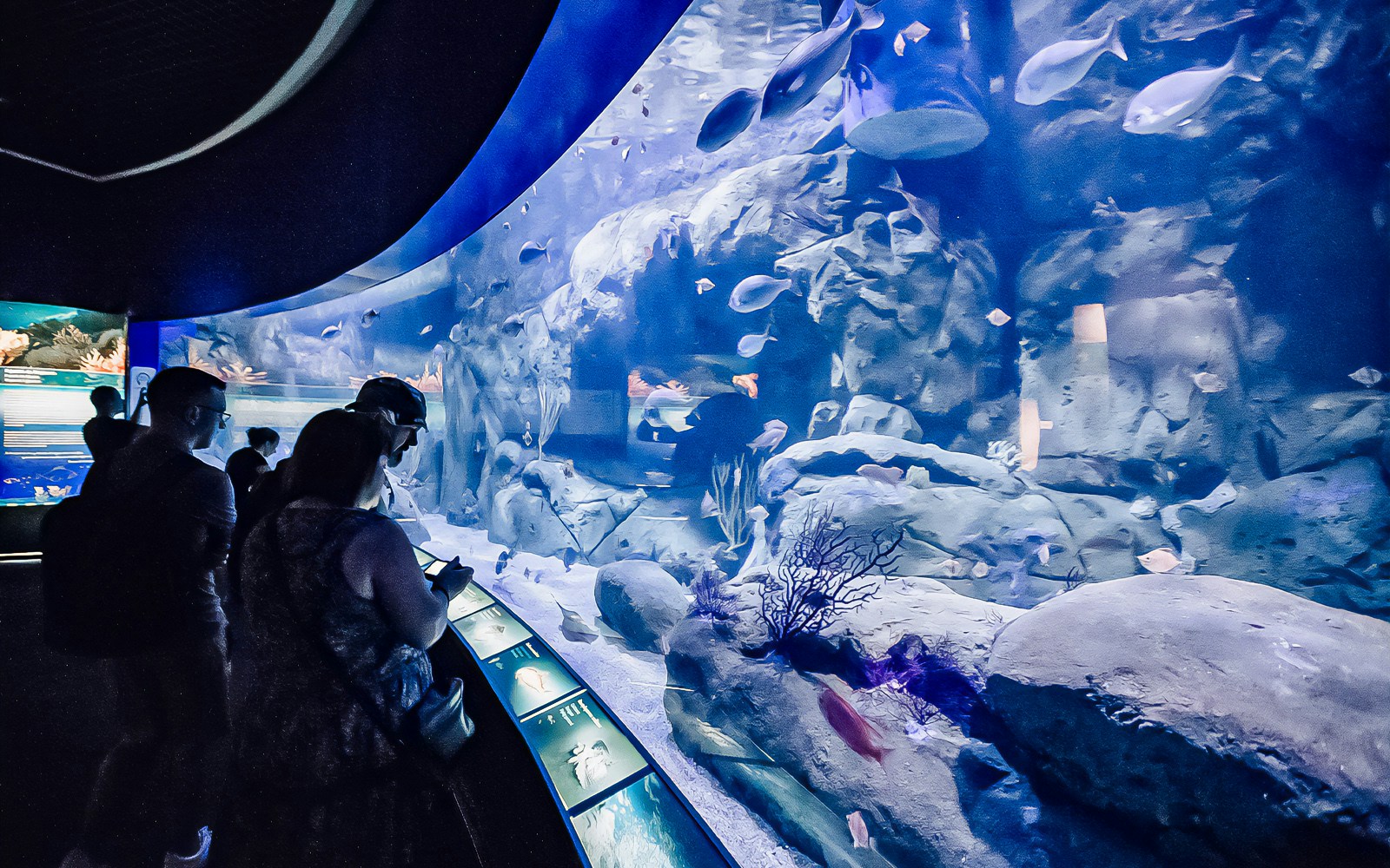 Oceanografic Valencia aquarium with diverse marine habitats and visitors exploring exhibits.