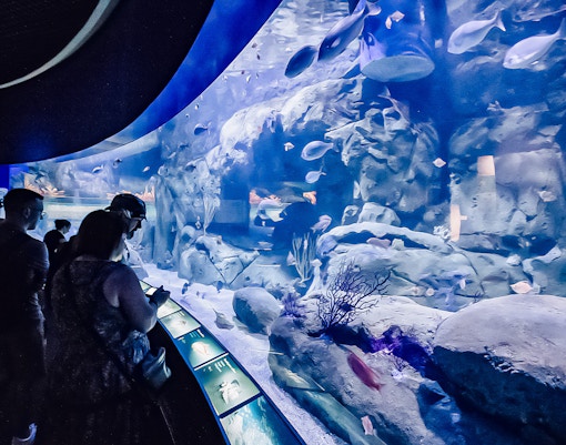 Oceanografic Valencia Interactive Exhibits