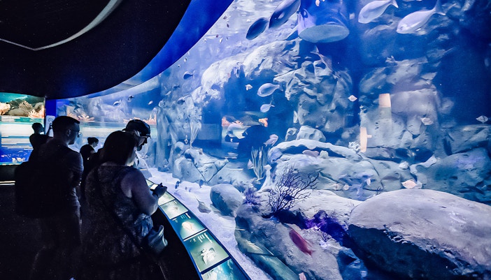 Oceanografic Valencia aquarium with diverse marine habitats and visitors exploring exhibits.