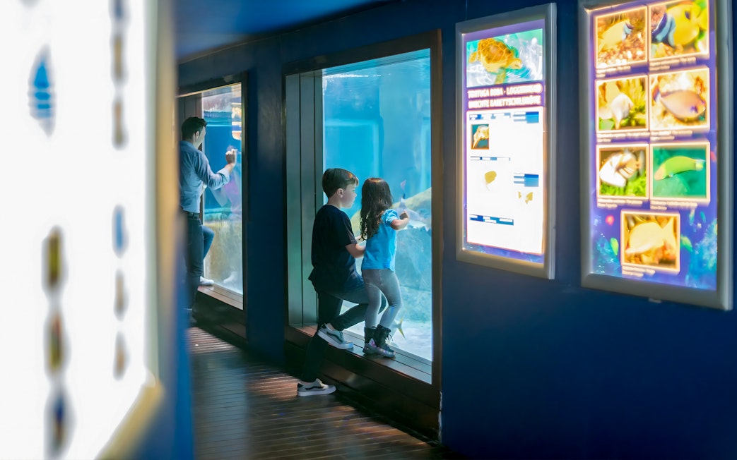 Children observing marine life at Marineland Mallorca aquarium.
