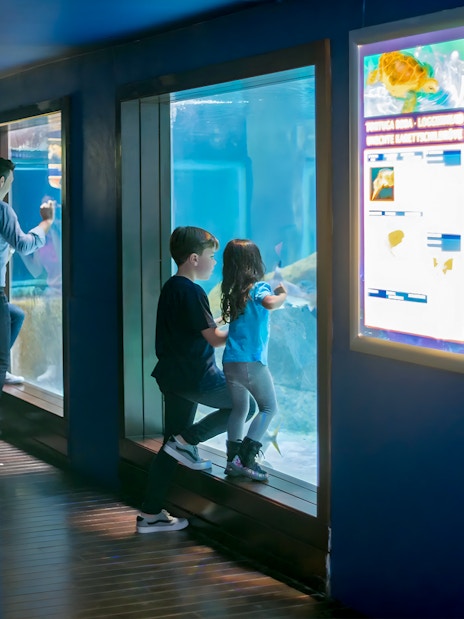 Children observing marine life at Marineland Mallorca aquarium.