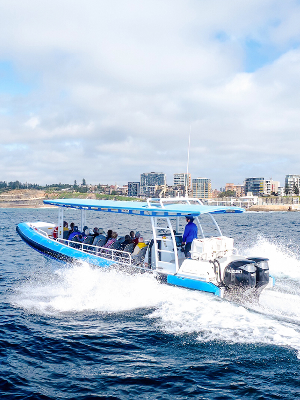 Rejsy z obserwacją wielorybów w Newcastle