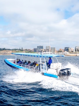 Tourists on a speedboat tour near coastal city skyline.