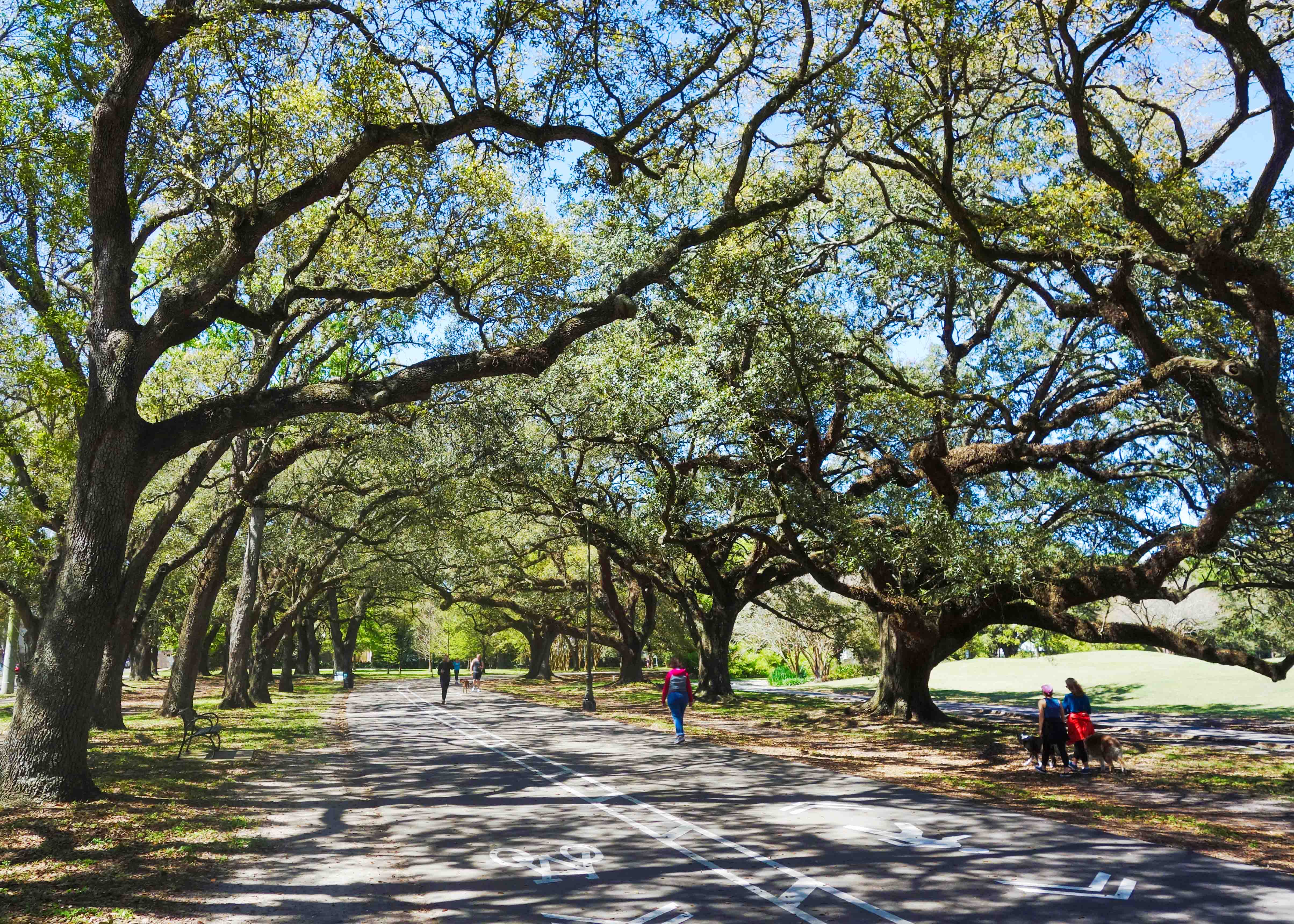 Audubon Park
