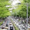 Omote Sando