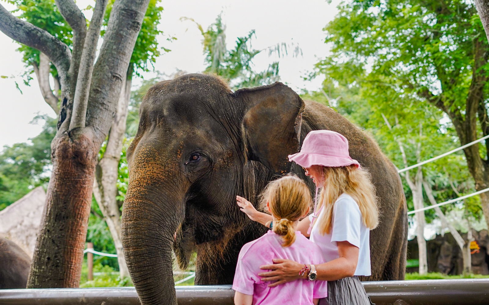 Tourists interacting with an elephant at Bali Zoo.