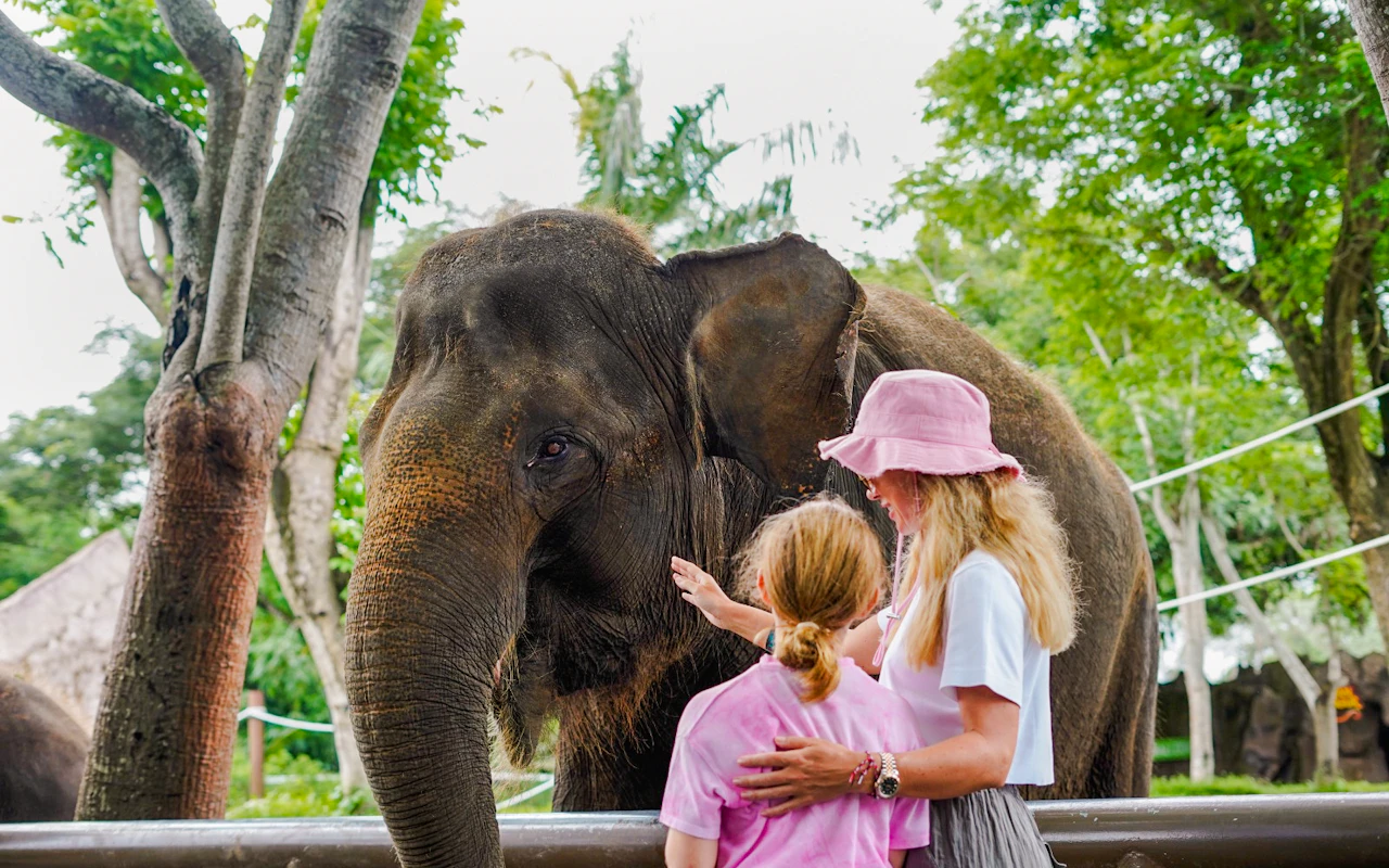 Bali Zoo Entry Tickets — 8