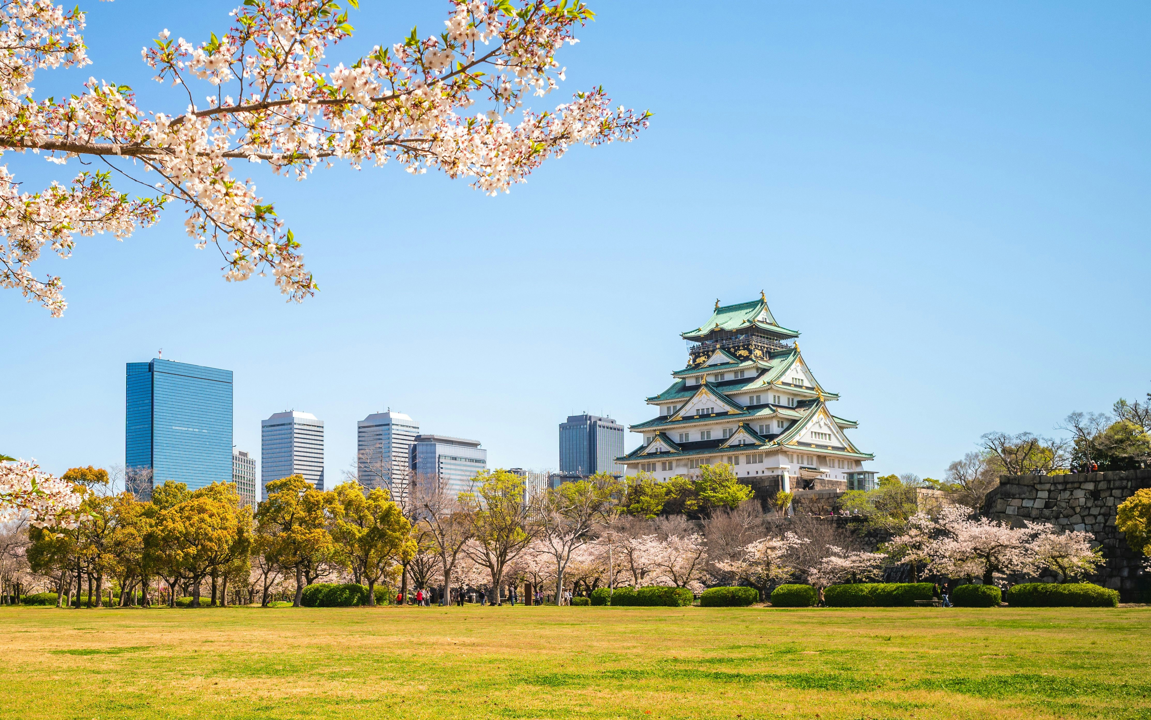 Nishinomaru Garden with cherry blossoms and Osaka Castle in the background, Japan.