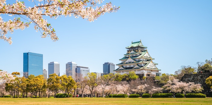 Nishinomaru Garden with cherry blossoms and Osaka Castle in the background, Japan.