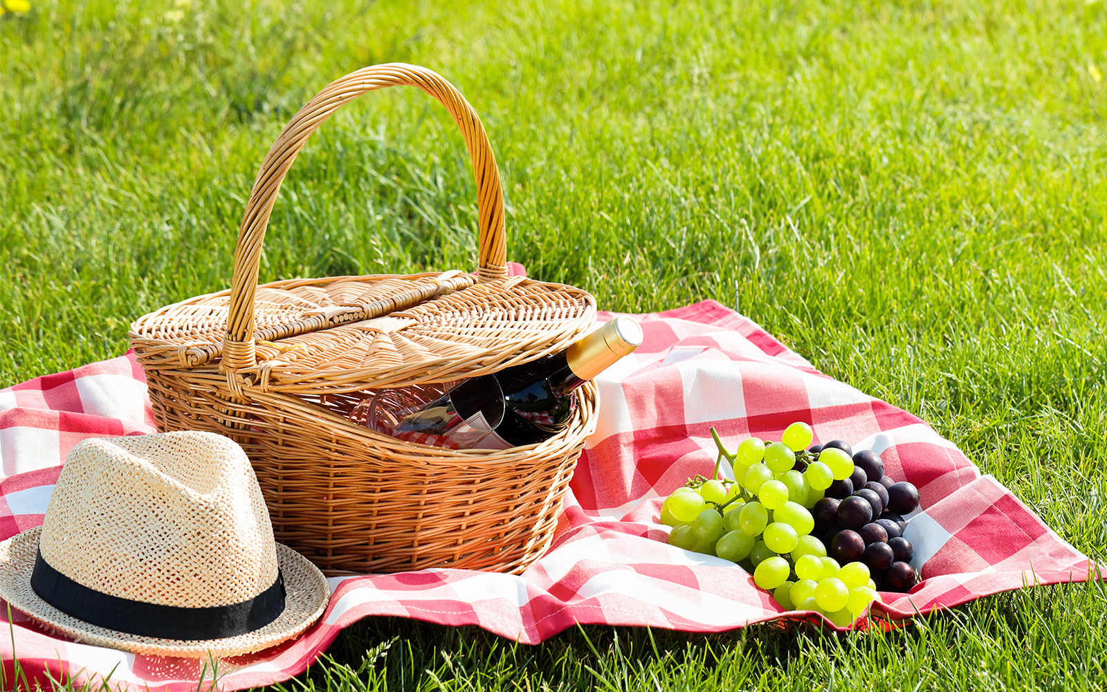 Picnic baskets, with grapes spread on a bedsheet