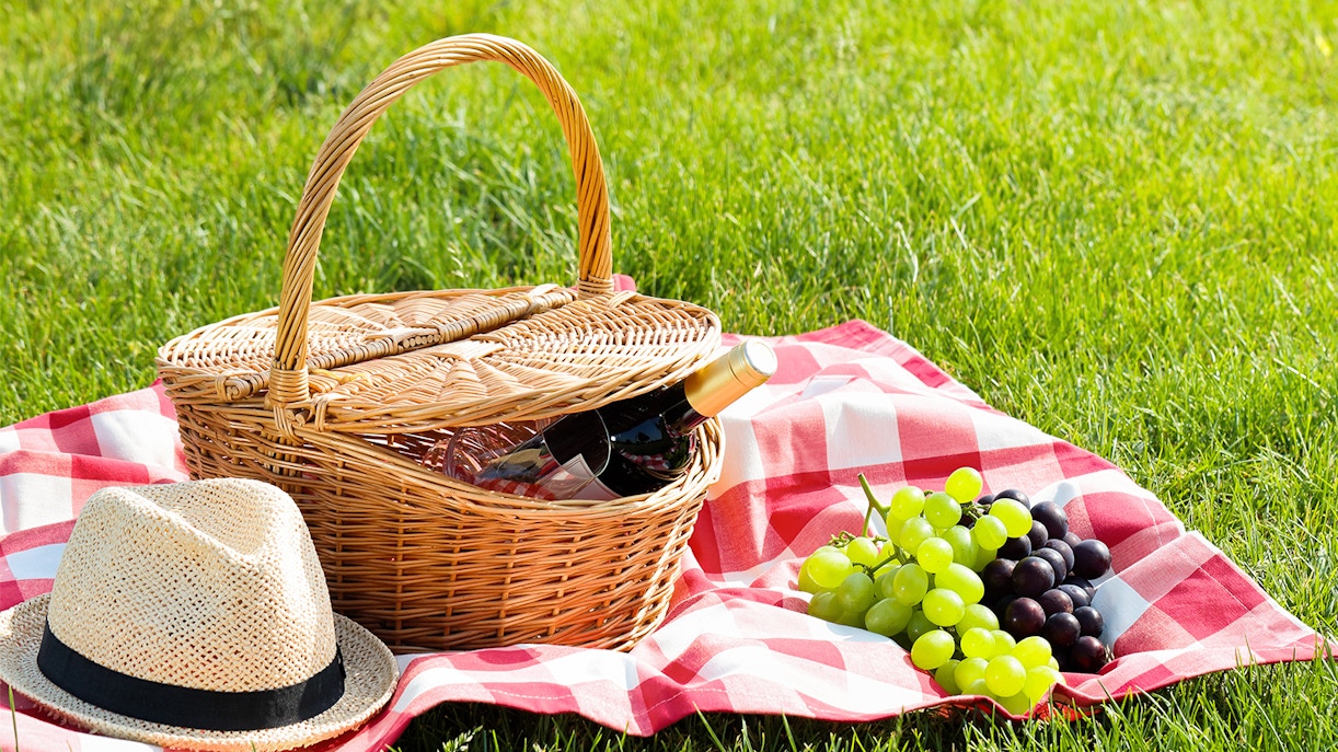 Wicker picnic basket with wine and grapes on a red checkered blanket in a grassy park.