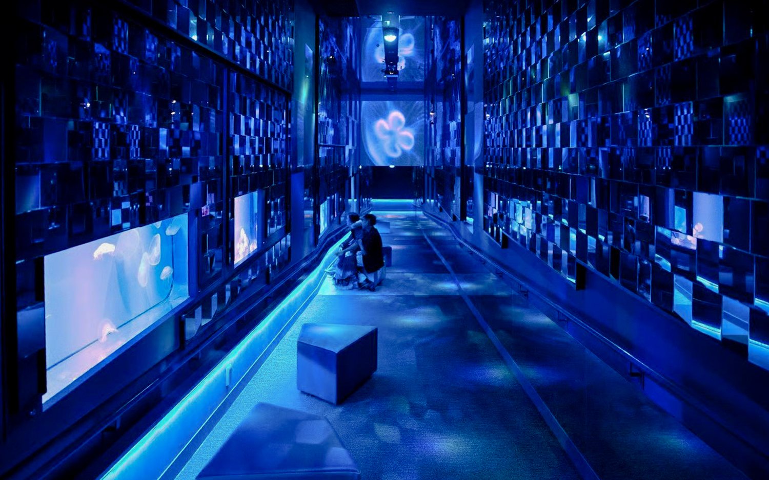 Tourists exploring jellyfish exhibit at Sumida Aquarium, Tokyo.