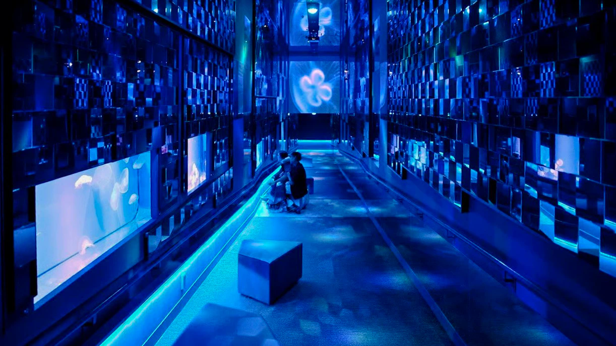 Tourists exploring jellyfish exhibit at Sumida Aquarium, Tokyo.