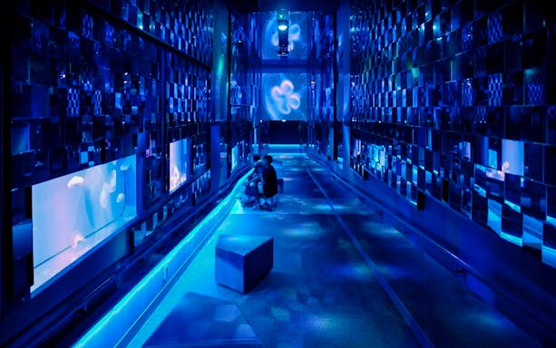 Tourists exploring jellyfish exhibit at Sumida Aquarium, Tokyo.