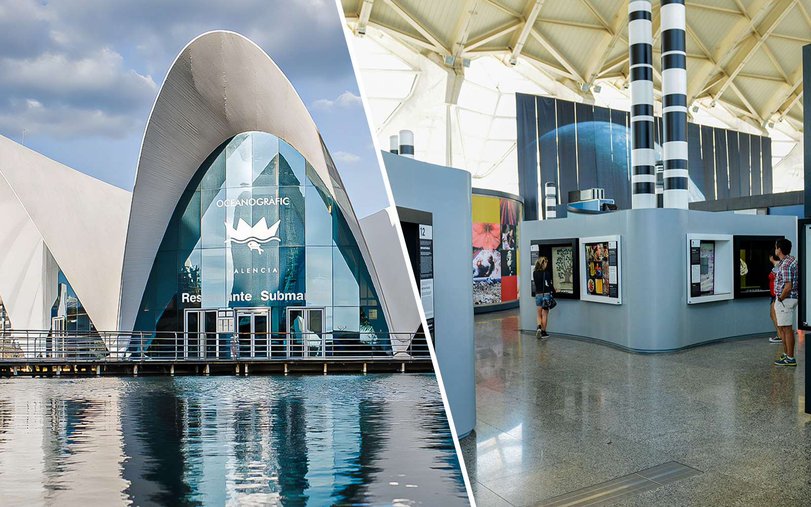 Oceanogràfic Tickets