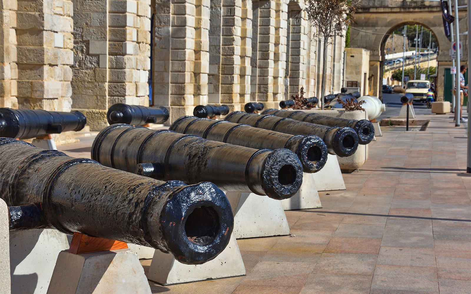 Row of historic cannons at a fortified city, part of a guided tour with boat trip.