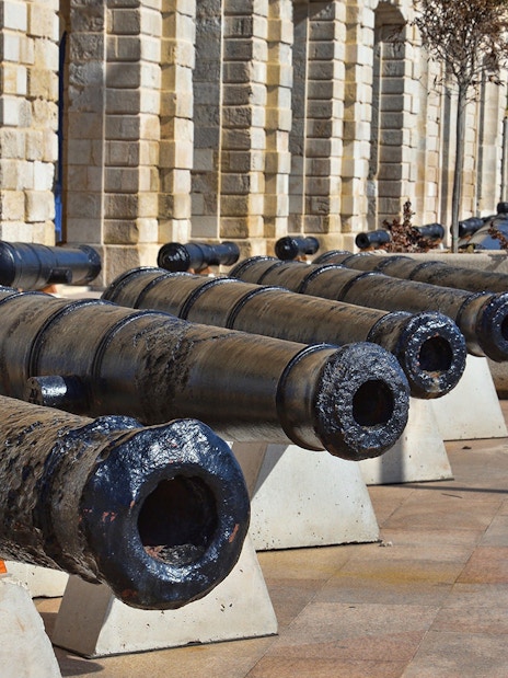 Row of historic cannons at a fortified city, part of a guided tour with boat trip.
