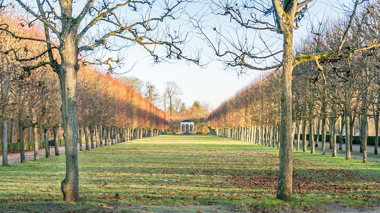 Nelle vicinanze del castello di Pierrefonds