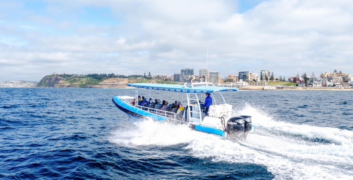 Crociere per l'osservazione delle balene a Newcastle