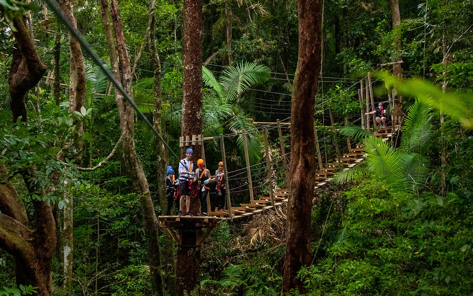 Visitors ziplining through Daintree Rainforest canopy on an adventure tour.