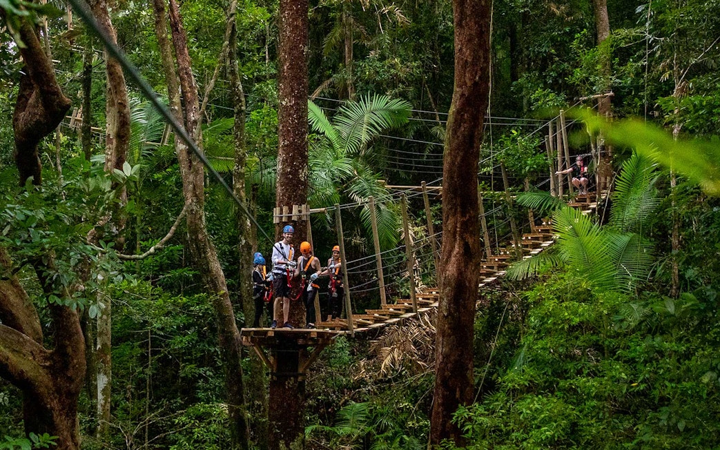 Visitors ziplining through Daintree Rainforest canopy on an adventure tour.