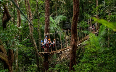 Visitors ziplining through Daintree Rainforest canopy on an adventure tour.