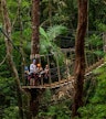 Treetops Adventure Cape Tribulation
