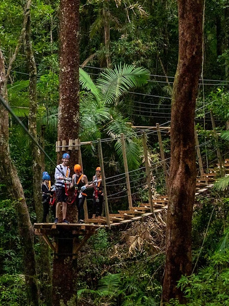 Visitors ziplining through Daintree Rainforest canopy on an adventure tour.