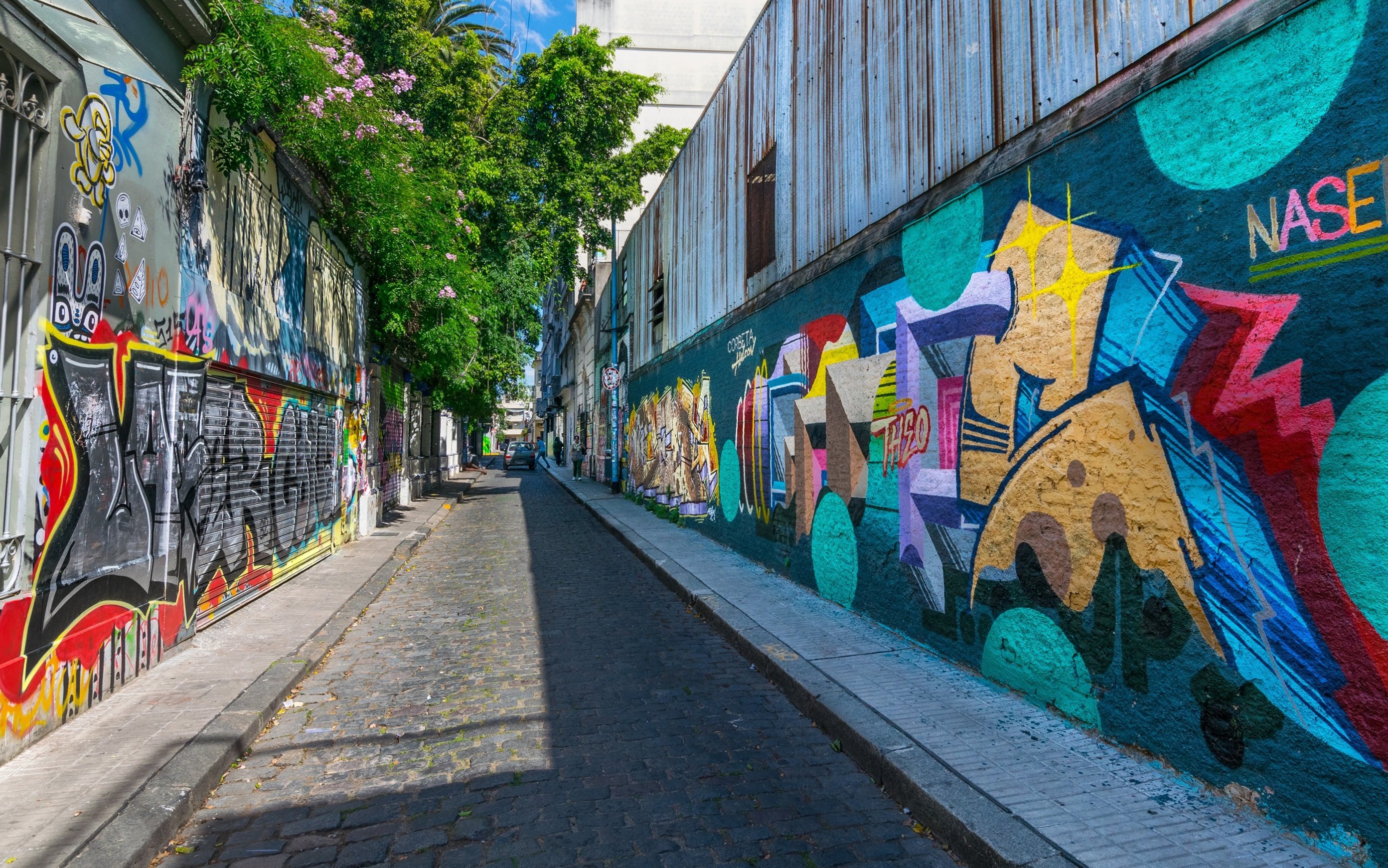 Graffiti-covered street in Buenos Aires during a city tour.