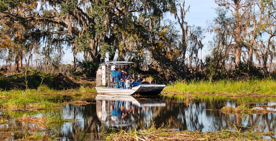 Airboat tour searching for alligators in New Orleans swamp.